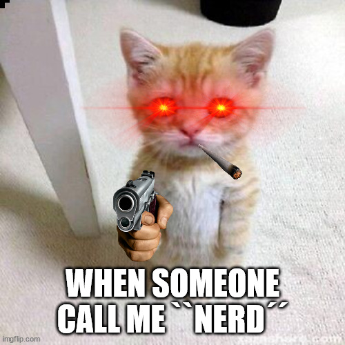 WHEN SOMEONE CALL ME ``NERD´´ | image tagged in cats | made w/ Imgflip meme maker