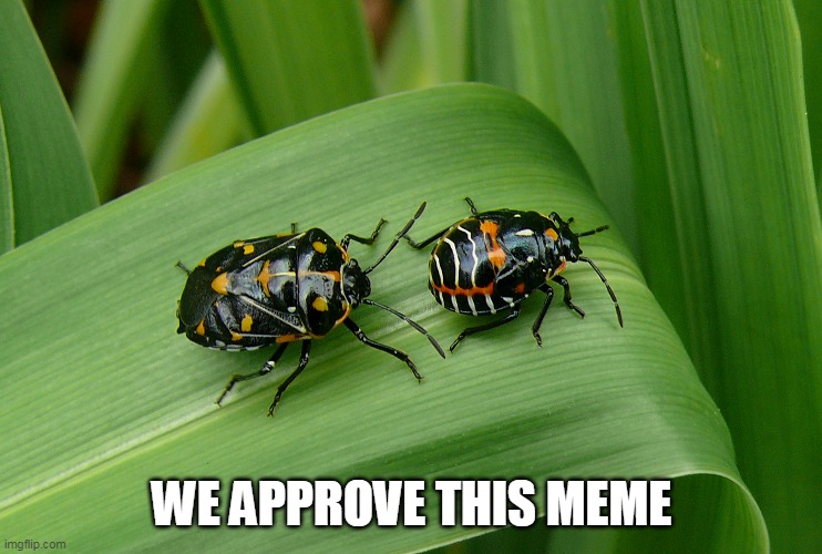 WE APPROVE THIS MEME | made w/ Imgflip meme maker