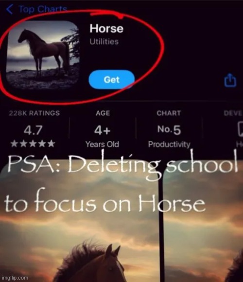 horse | image tagged in gifs,memes,funny,shitpost,horse,here is a tag | made w/ Imgflip meme maker