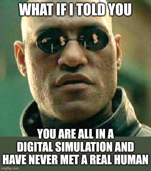 What if i told you | WHAT IF I TOLD YOU YOU ARE ALL IN A DIGITAL SIMULATION AND HAVE NEVER MET A REAL HUMAN | image tagged in what if i told you | made w/ Imgflip meme maker