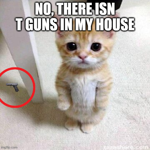 NO, THERE ISN T GUNS IN MY HOUSE | image tagged in sus,gun | made w/ Imgflip meme maker