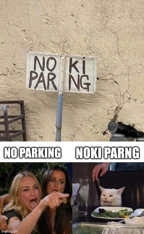 NOKI PARNG; NO PARKING | image tagged in memes,woman yelling at cat | made w/ Imgflip meme maker