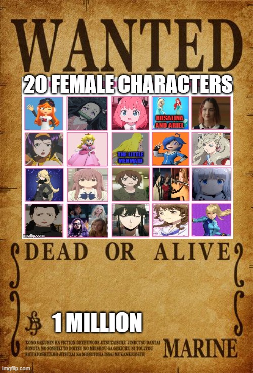 one piece wanted poster meme | 20 FEMALE CHARACTERS; 1 MILLION | image tagged in one piece,memes,20 minute adventure rick morty,characters,one million dollars,wanted poster | made w/ Imgflip meme maker