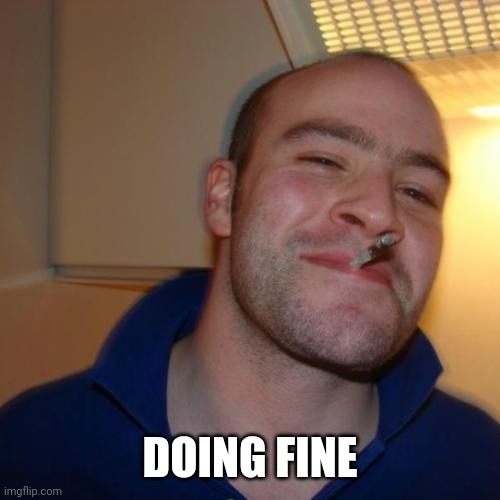 Good Guy Greg Meme | DOING FINE | image tagged in memes,good guy greg | made w/ Imgflip meme maker