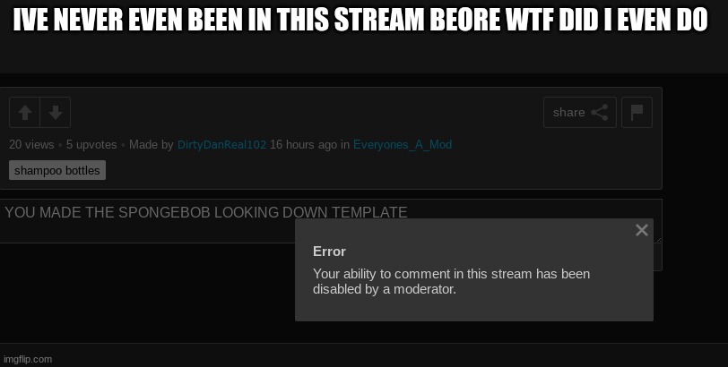 mod abuse is at peak levels I've probably only been in there one time before to just say hi or ask for mod | IVE NEVER EVEN BEEN IN THIS STREAM BEORE WTF DID I EVEN DO | made w/ Imgflip meme maker