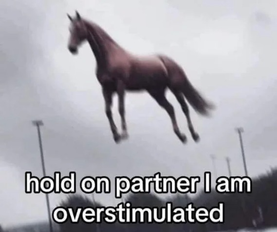 High Quality Hold on partner I am overstimulated Blank Meme Template