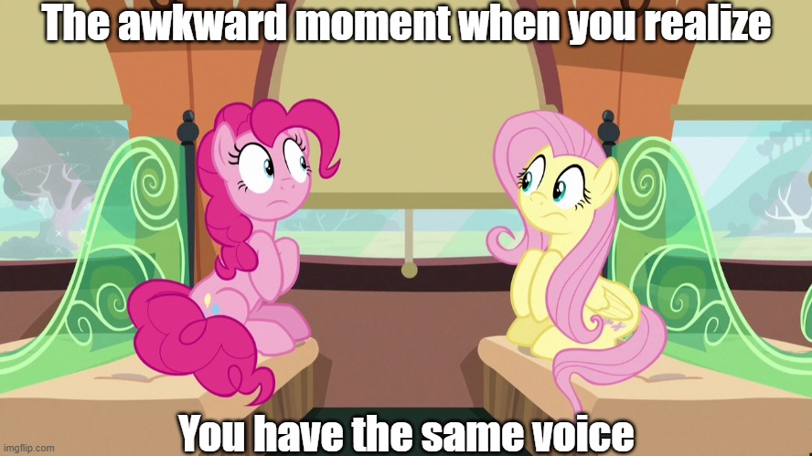 Fluttershy and Pinkie's awkward realization | The awkward moment when you realize; You have the same voice | image tagged in my little pony friendship is magic,mlp fim,fluttershy,pinkie pie,mlp meme | made w/ Imgflip meme maker