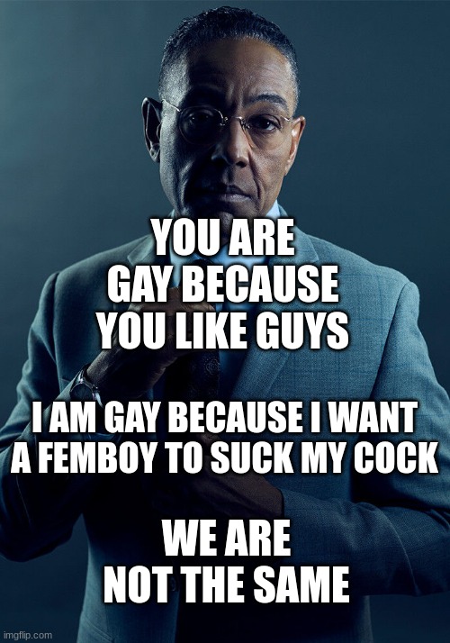 Gus Fring we are not the same | YOU ARE GAY BECAUSE YOU LIKE GUYS I AM GAY BECAUSE I WANT A FEMBOY TO SUCK MY COCK WE ARE NOT THE SAME | image tagged in gus fring we are not the same | made w/ Imgflip meme maker