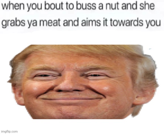 buss a nut blank | image tagged in buss a nut blank | made w/ Imgflip meme maker