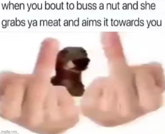 buss a nut blank | image tagged in buss a nut blank | made w/ Imgflip meme maker