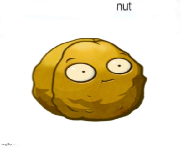 buss a nut blank | image tagged in buss a nut blank | made w/ Imgflip meme maker