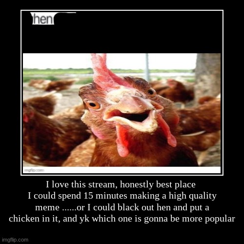 I love this stream, honestly best place 
I could spend 15 minutes making a high quality meme ......or I could black out hen and put a chicke | image tagged in funny,demotivationals | made w/ Imgflip demotivational maker