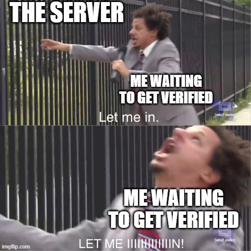 Let me in the server | THE SERVER; ME WAITING TO GET VERIFIED; ME WAITING TO GET VERIFIED | image tagged in let me in | made w/ Imgflip meme maker