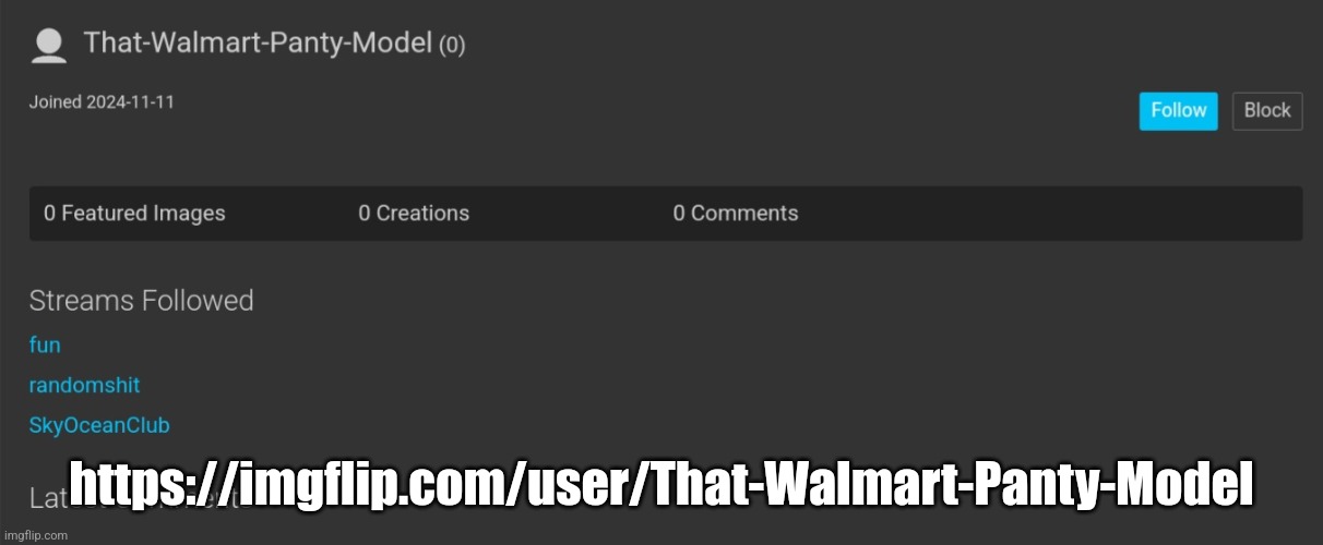 https://imgflip.com/user/That-Walmart-Panty-Model | made w/ Imgflip meme maker