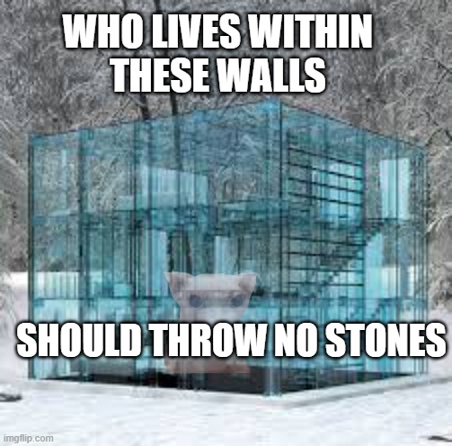 Glass Houses and the People Who Live Within | WHO LIVES WITHIN 
THESE WALLS; SHOULD THROW NO STONES | image tagged in glass house | made w/ Imgflip meme maker