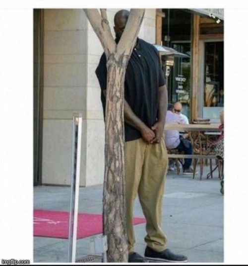 shaq behind tree | image tagged in shaq behind tree | made w/ Imgflip meme maker