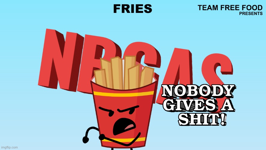 Fries nobody gives a shit | image tagged in fries nobody gives a shit | made w/ Imgflip meme maker