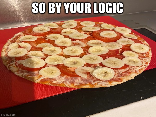 SO BY YOUR LOGIC | made w/ Imgflip meme maker