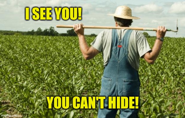 farmer | I SEE YOU! YOU CAN'T HIDE! | image tagged in farmer | made w/ Imgflip meme maker