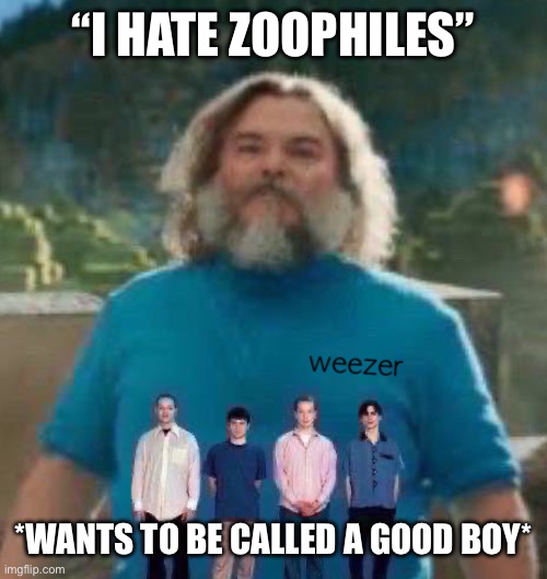 I am Steve weezer | “I HATE ZOOPHILES”; *WANTS TO BE CALLED A GOOD BOY* | image tagged in i am steve weezer | made w/ Imgflip meme maker