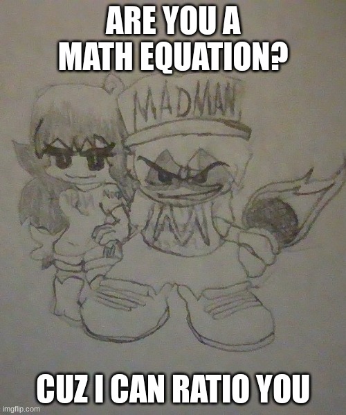 you can steal the phrase its open to the public | ARE YOU A MATH EQUATION? CUZ I CAN RATIO YOU | image tagged in madman and n0r4 | made w/ Imgflip meme maker