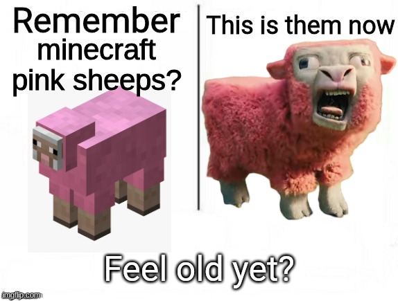 ‎ | minecraft pink sheeps? | image tagged in minecraft,mc,mncrft,movie,this is him now,demotivationals | made w/ Imgflip meme maker