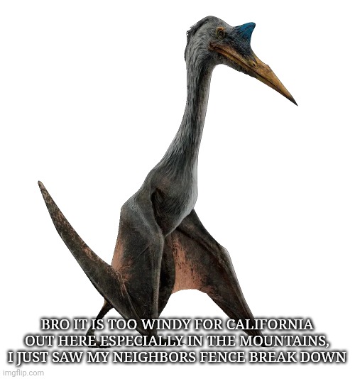 Quetzalcoatlus | BRO IT IS TOO WINDY FOR CALIFORNIA OUT HERE ESPECIALLY IN THE MOUNTAINS, I JUST SAW MY NEIGHBORS FENCE BREAK DOWN | image tagged in quetzalcoatlus | made w/ Imgflip meme maker