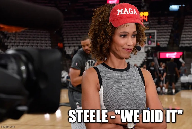 Saga Steele meme | STEELE -"WE DID IT" | image tagged in memes,trump,maga,make america great again,funny memes,well boys we did it | made w/ Imgflip meme maker