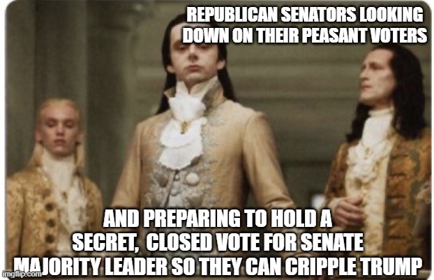 aholes all | REPUBLICAN SENATORS LOOKING DOWN ON THEIR PEASANT VOTERS; AND PREPARING TO HOLD A SECRET,  CLOSED VOTE FOR SENATE MAJORITY LEADER SO THEY CAN CRIPPLE TRUMP | image tagged in superior royalty | made w/ Imgflip meme maker