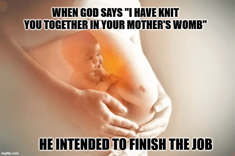 He wanted to finish the job | WHEN GOD SAYS "I HAVE KNIT YOU TOGETHER IN YOUR MOTHER'S WOMB"; HE INTENDED TO FINISH THE JOB | made w/ Imgflip meme maker