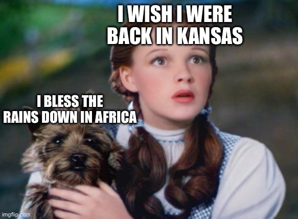 Toto Wizard of Oz | I WISH I WERE BACK IN KANSAS; I BLESS THE RAINS DOWN IN AFRICA | image tagged in toto wizard of oz | made w/ Imgflip meme maker