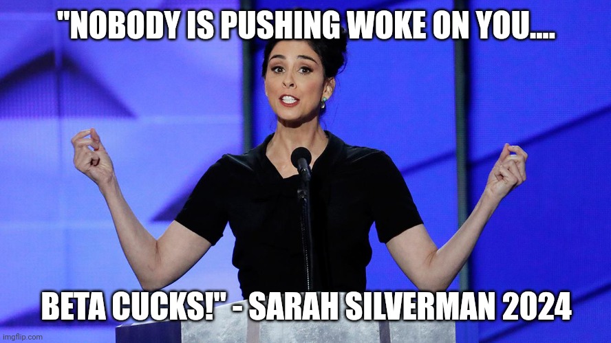 dnc sarah silverman | "NOBODY IS PUSHING WOKE ON YOU.... BETA CUCKS!" - SARAH SILVERMAN 2024 | image tagged in dnc sarah silverman | made w/ Imgflip meme maker