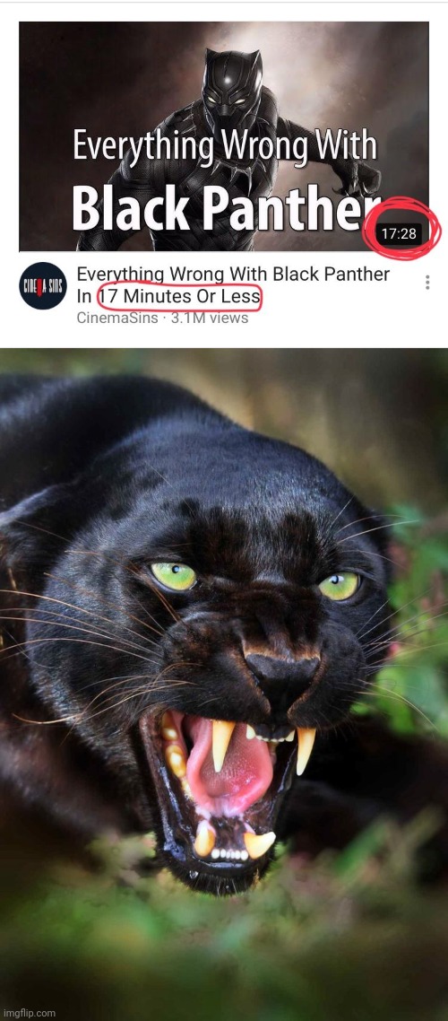 Seconds more than 17 min | image tagged in black panther,you had one job,video,memes,minutes,more | made w/ Imgflip meme maker