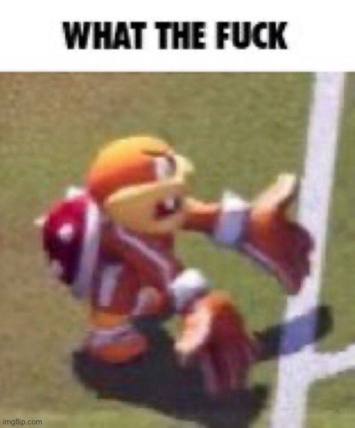 What the heck | image tagged in what the heck | made w/ Imgflip meme maker