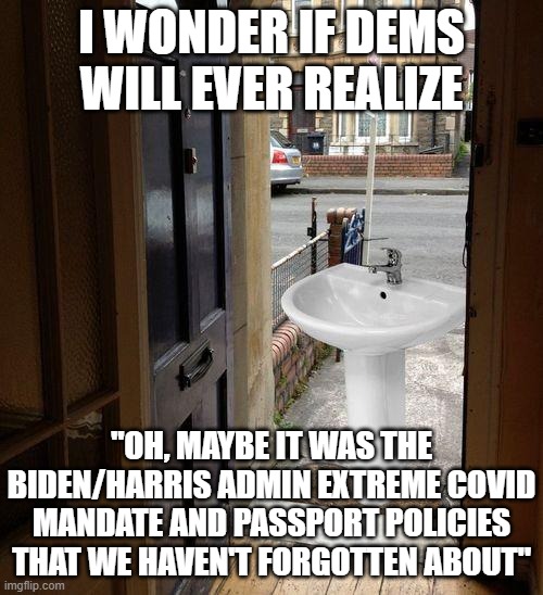 Let that sink in | I WONDER IF DEMS WILL EVER REALIZE; "OH, MAYBE IT WAS THE BIDEN/HARRIS ADMIN EXTREME COVID MANDATE AND PASSPORT POLICIES THAT WE HAVEN'T FORGOTTEN ABOUT" | image tagged in let that sink in | made w/ Imgflip meme maker