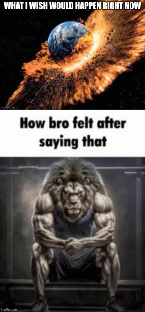 image tagged in how bro felt after saying that | made w/ Imgflip meme maker