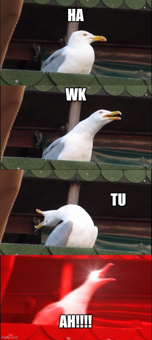 Inhaling Seagull | HA; WK; TU; AH!!!! | image tagged in memes,inhaling seagull | made w/ Imgflip meme maker