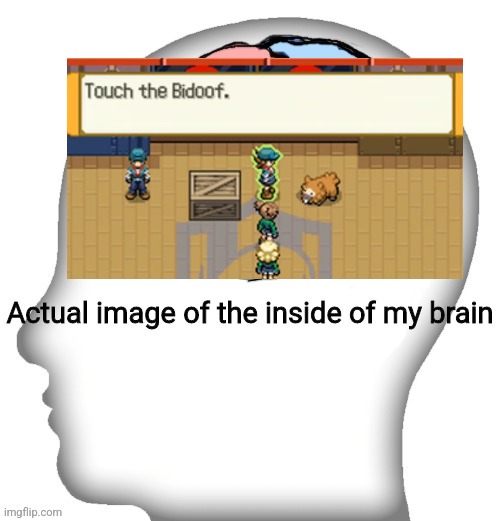 Actual image of the inside of my brain | image tagged in actual image of the inside of my brain | made w/ Imgflip meme maker