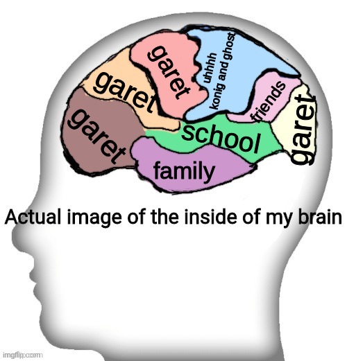 Actual image of the inside of my brain | uhhhh konig and ghost; garet; garet; friends; garet; garet; school; family | image tagged in actual image of the inside of my brain | made w/ Imgflip meme maker