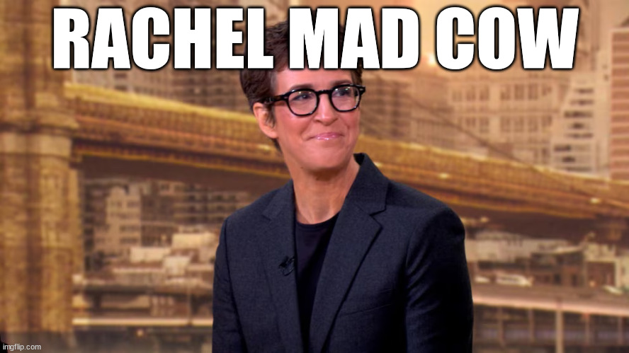 What a  Miserable   LIFE! | RACHEL MAD COW | image tagged in rachel maddow,miserable life,this  sucks,paid to do what | made w/ Imgflip meme maker