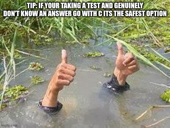 unless its under 4 questions than idk | TIP: IF YOUR TAKING A TEST AND GENUINELY DON'T KNOW AN ANSWER GO WITH C ITS THE SAFEST OPTION | image tagged in flooding thumbs up | made w/ Imgflip meme maker