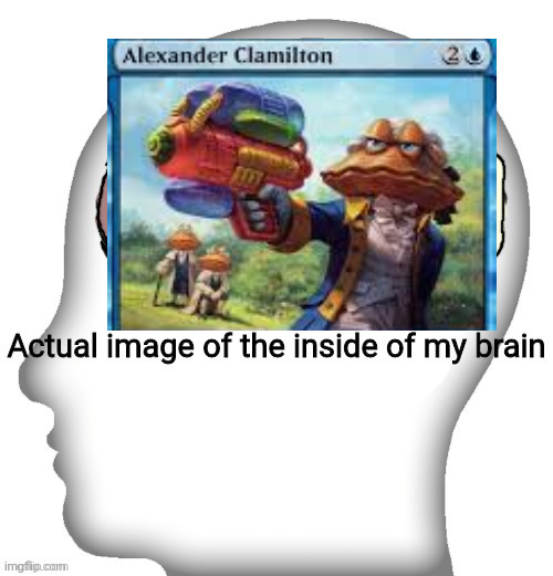Actual image of the inside of my brain | image tagged in actual image of the inside of my brain | made w/ Imgflip meme maker