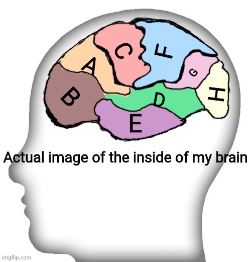 I j k l m n o p | F; C; A; G; B; H; D; E | image tagged in actual image of the inside of my brain | made w/ Imgflip meme maker