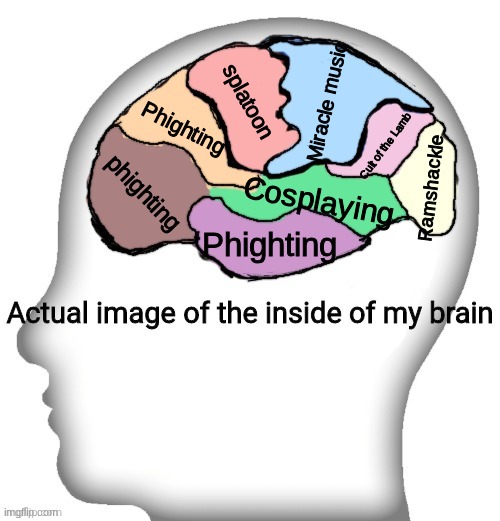 Actual image of the inside of my brain | Miracle music; splatoon; Phighting; Cult of the Lamb; phighting; Ramshackle; Cosplaying; Phighting | image tagged in actual image of the inside of my brain | made w/ Imgflip meme maker