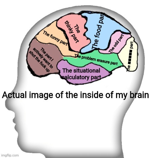 Not completely accurate | The food part; The thinky part; The funny part; The odd part; The part I actively want to shut the fu​ck up; The ■■■■■ part; The problem erasure part; The situational calculatory part | image tagged in actual image of the inside of my brain | made w/ Imgflip meme maker