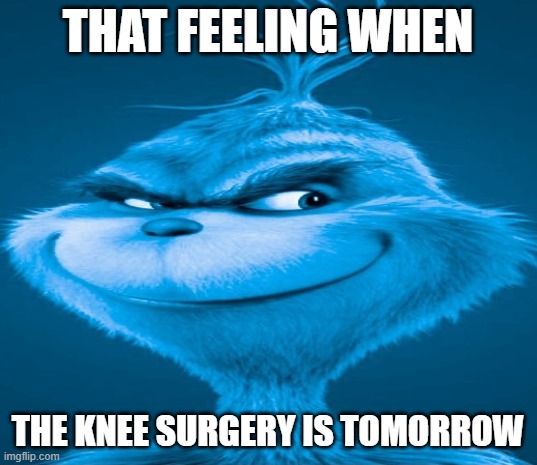 Blue Grinch | THAT FEELING WHEN; THE KNEE SURGERY IS TOMORROW | image tagged in blue grinch | made w/ Imgflip meme maker