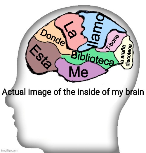 Actual image of the inside of my brain | llamo; La; Donde; T-bone; Esta; la araña discoteca; Biblioteca; Me | image tagged in actual image of the inside of my brain | made w/ Imgflip meme maker