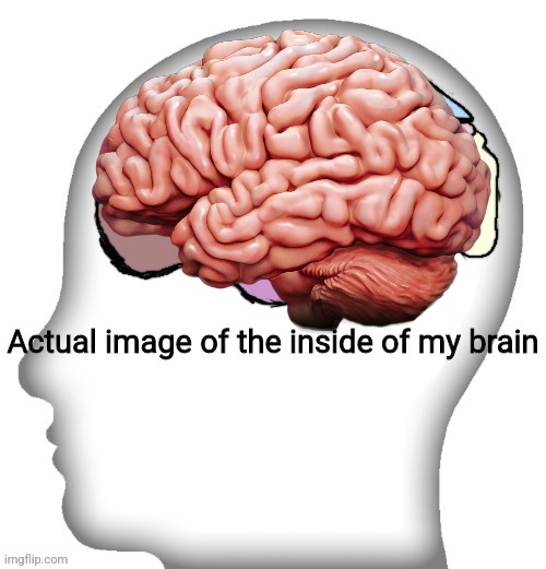 Actual image of the inside of my brain | image tagged in actual image of the inside of my brain | made w/ Imgflip meme maker