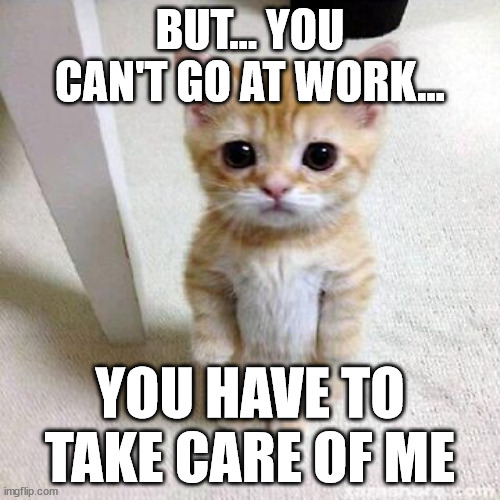 Cats when you go at work | BUT... YOU CAN'T GO AT WORK... YOU HAVE TO TAKE CARE OF ME | image tagged in cat,work | made w/ Imgflip meme maker