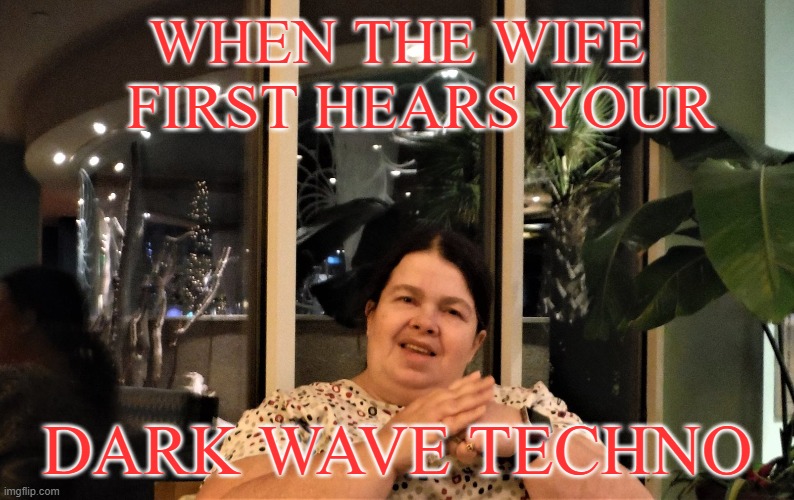 When the Wife first hears your dark wave techno | WHEN THE WIFE
   FIRST HEARS YOUR; DARK WAVE TECHNO | image tagged in marriage,relationships,goth | made w/ Imgflip meme maker